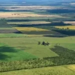 La Corte revocó el fallo que declaró inconstitucional la derogación de la Ley de Tierras