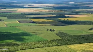 La Corte revocó el fallo que declaró inconstitucional la derogación de la Ley de Tierras