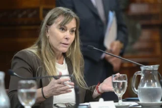 El PJ presentó un proyecto para restituir la Ley de Tierras y derogar el artículo 154