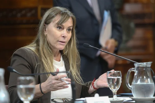 El PJ presentó un proyecto para restituir la Ley de Tierras y derogar el artículo 154