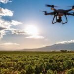 San Juan entregará insecticida a productores vitícolas hasta el 9 de octubre
