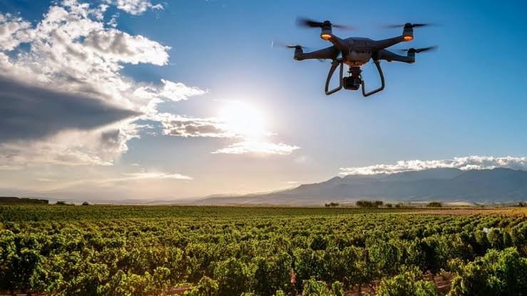 San Juan entregará insecticida a productores vitícolas hasta el 9 de octubre