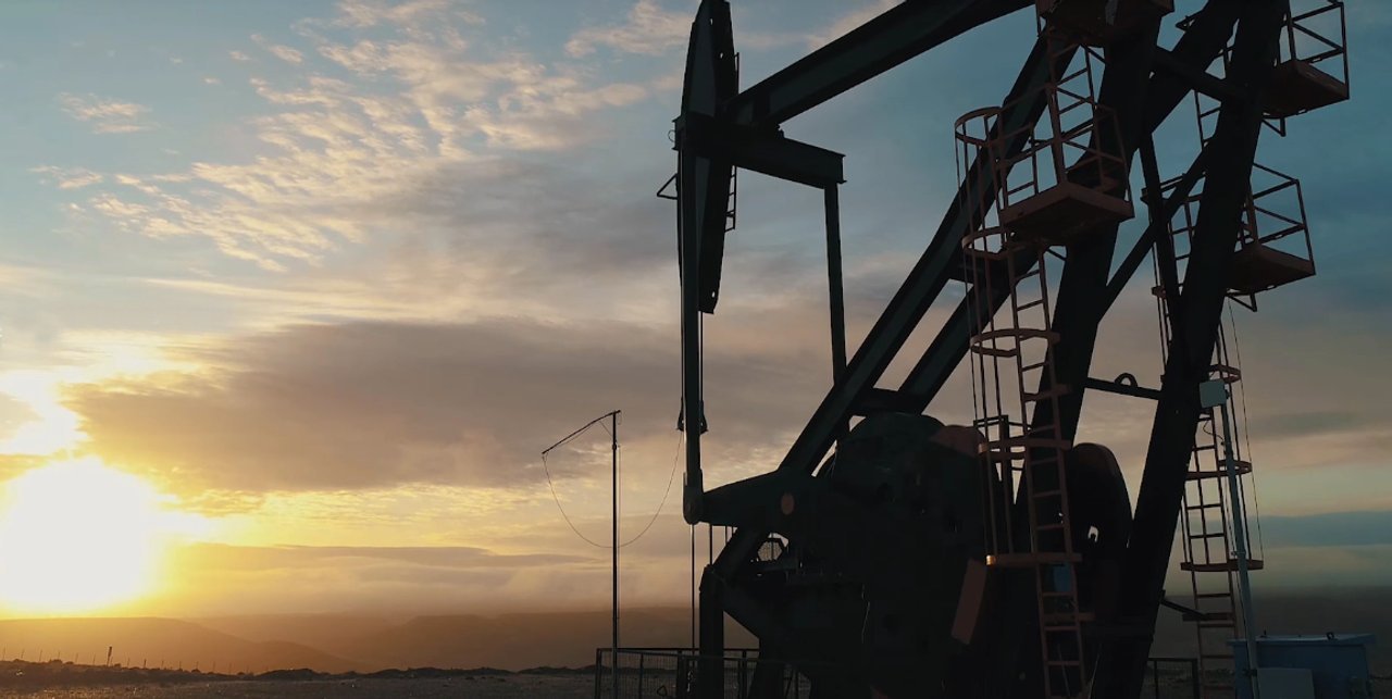 Bulgheroni consultó a la IEA sobre la evolución de la demanda de petróleo