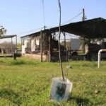 El EAAF identificó en Tucumán los restos de Carlos Medina González