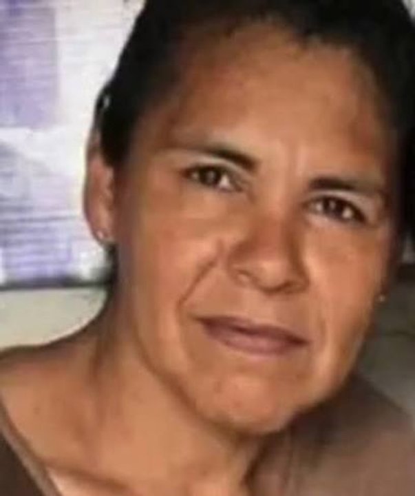 Corrientes despliega drones, caballos y canes para buscar a una docente
