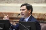Goerling cuestionó las intervenciones de Milei y defendió mantener las PASO