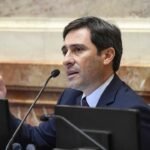Goerling cuestionó las intervenciones de Milei y defendió mantener las PASO