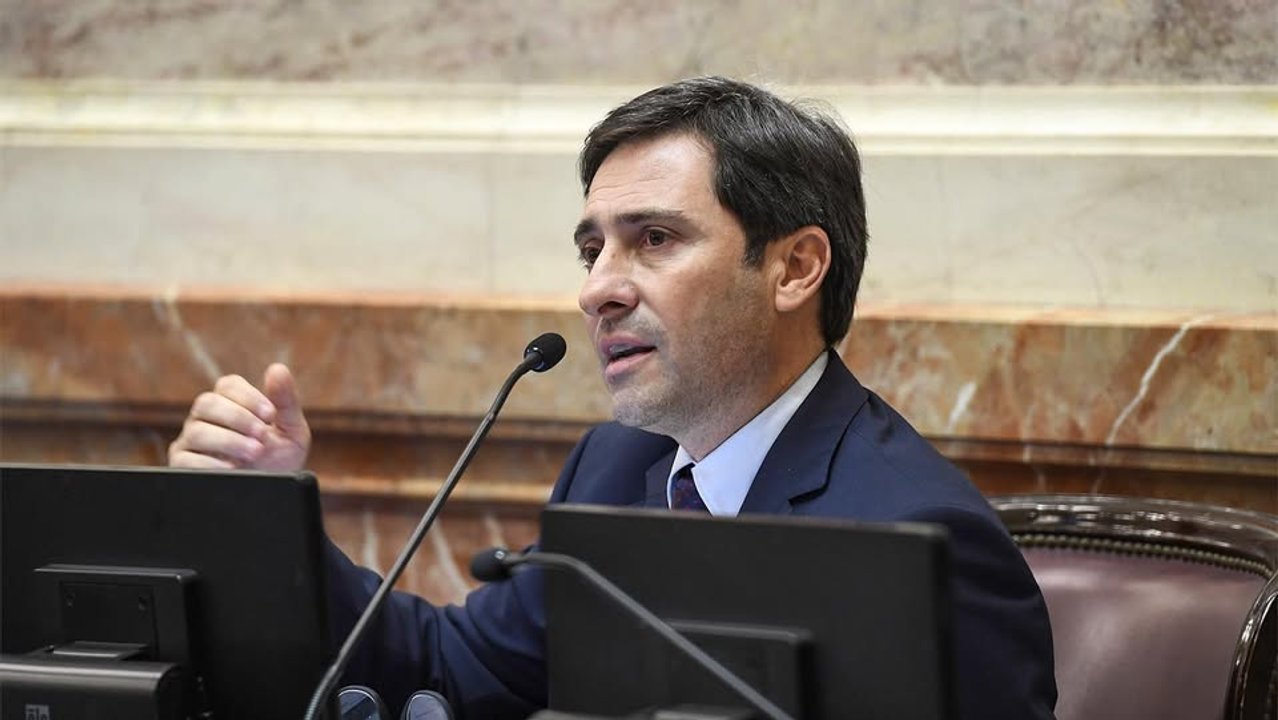 Goerling cuestionó las intervenciones de Milei y defendió mantener las PASO