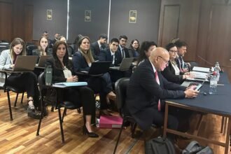 Caso Loan: testigos aportaron detalles sobre rastrillajes y pruebas