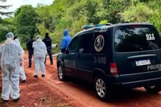 Hallaron muertos a una pareja en un auto cerca de Oberá; su hijo resultó ileso