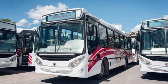 La conciliación obligatoria busca reactivar de inmediato los colectivos
