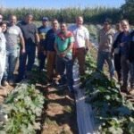 Productores de Albardón pidieron una audiencia urgente por la crisis agrícola