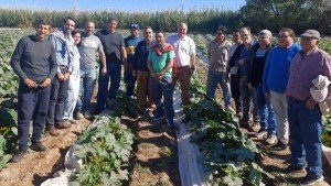 Productores de Albardón pidieron una audiencia urgente por la crisis agrícola