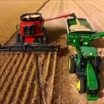 La soja en el mercado argentino alcanzó su precio más alto desde 2023