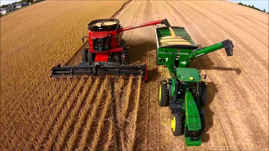La soja en el mercado argentino alcanzó su precio más alto desde 2023
