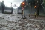 Temporal en Mendoza: hubo 85 emergencias y r谩fagas de hasta 113 km/h