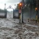 Temporal en Mendoza: hubo 85 emergencias y ráfagas de hasta 113 km/h