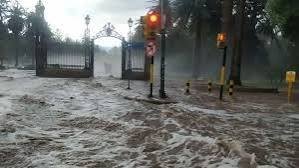 Temporal en Mendoza: hubo 85 emergencias y r谩fagas de hasta 113 km/h