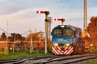 Grupo México podría retirarse de la licitación del Belgrano Cargas