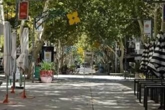 Feriado del 12 de octubre en San Juan: cómo funcionarán los servicios