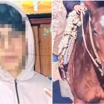 Hallaron al adolescente de 16 años que era buscado en una zona rural de 25 de Mayo