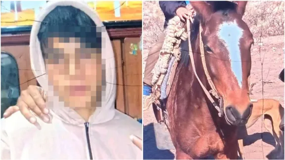Hallaron al adolescente de 16 años que era buscado en una zona rural de 25 de Mayo